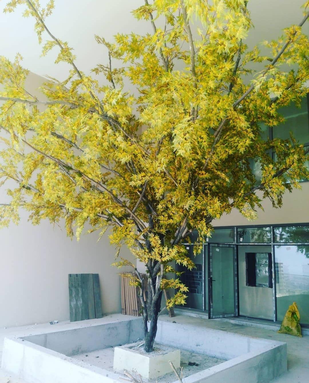 Dekorasyon